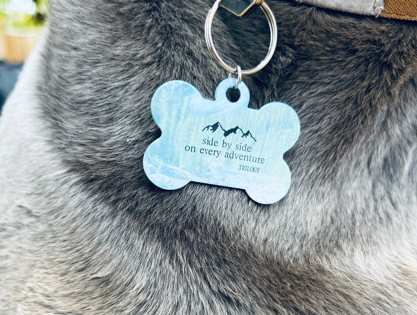 Dog tags